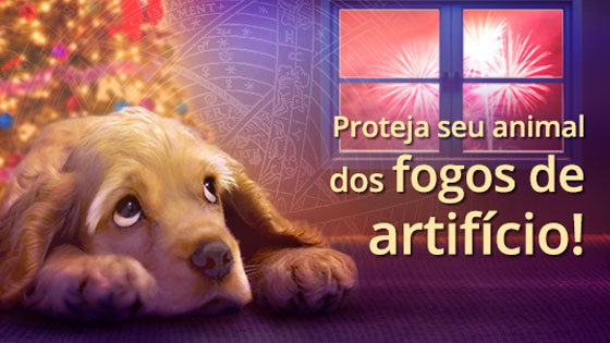 Proteja seu animal dos fogos de artifício!